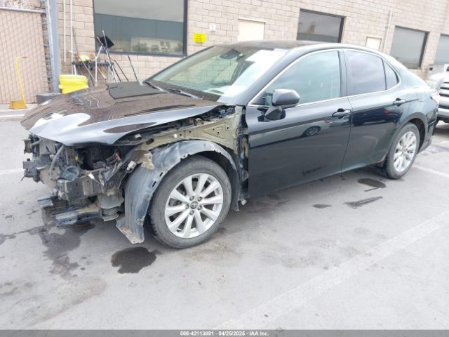 4T1C11AK6LU330167 Toyota CAMRY LE