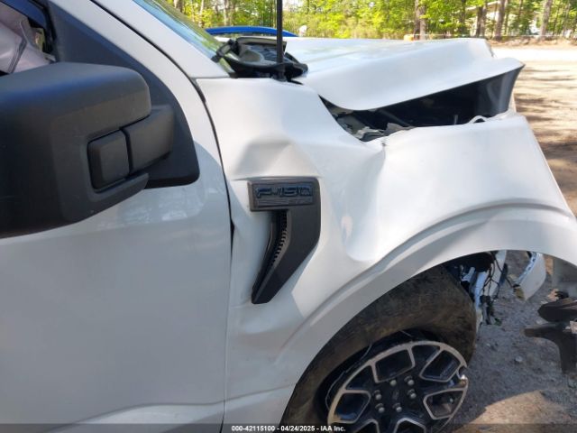 1FTEX1EP8PFA78448 Ford F-150 Xl