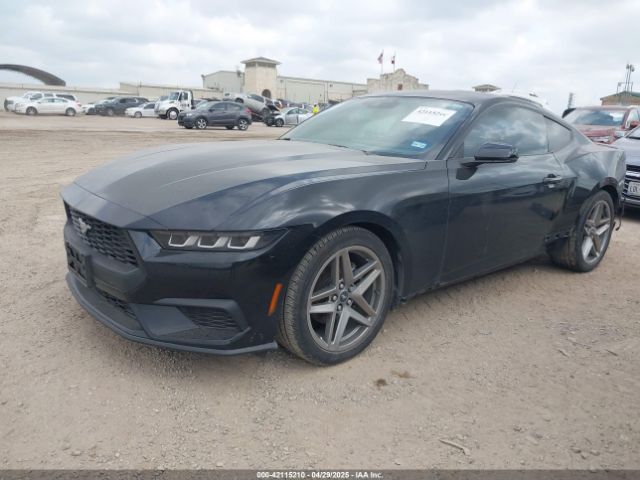 2024 FORD MUSTANG 1FA6P8TH1R5114195 Photo 1