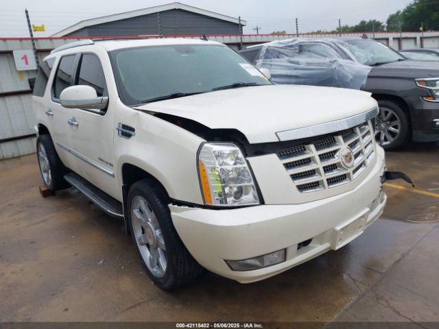 2013 CADILLAC ESCALADE 1GYS4BEF3DR236806