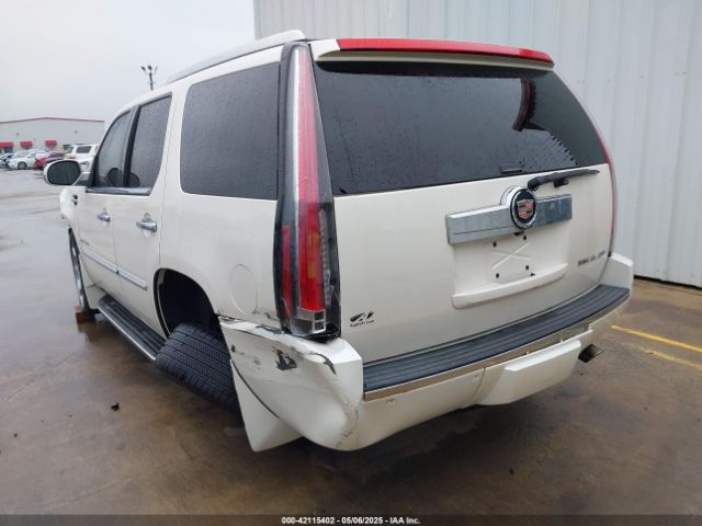 2013 CADILLAC ESCALADE 1GYS4BEF3DR236806 Photo 2