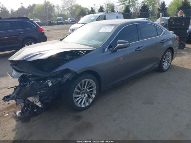 58AEA1C13MU005774 Lexus Es 300h Luxury