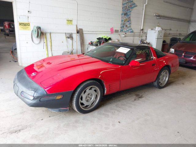 1992 CHEVROLET CORVETTE 1G1YY23P1N5108131 Photo 1