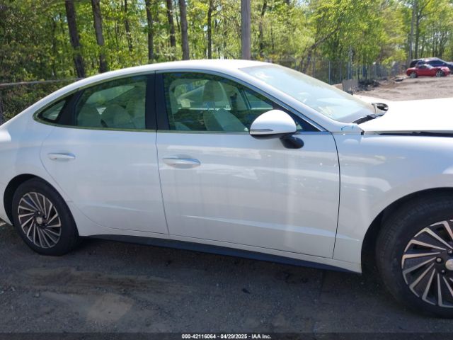 KMHL34JJ7PA078228 Hyundai Sonata Hybrid Sel