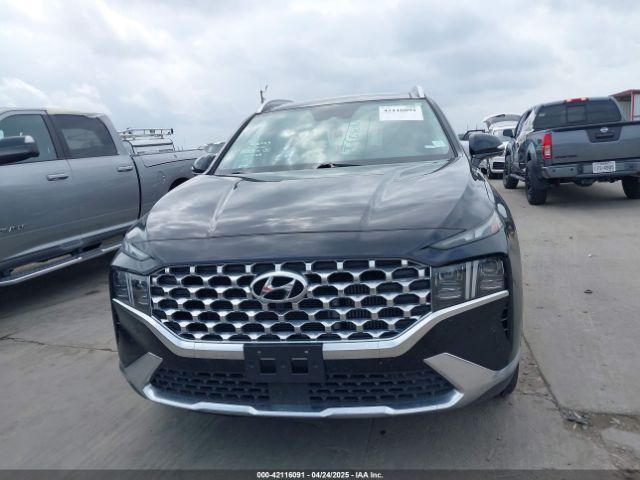 5NMS4DAL0PH533344 Hyundai Santa Fe Limited