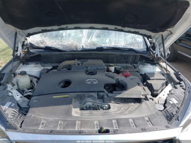 3PCAJ5M11KF145988 Infiniti Qx50 Luxe