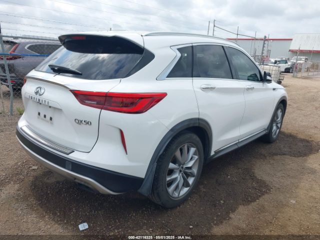 3PCAJ5M11KF145988 Infiniti Qx50 Luxe