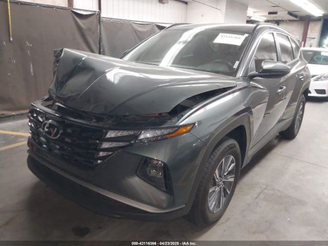 2023 HYUNDAI TUCSON HYBRID KM8JBCA14PU100284 Photo 1