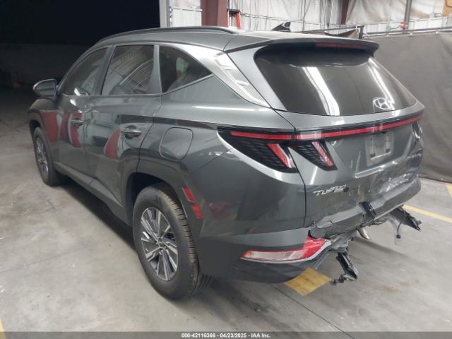2023 HYUNDAI TUCSON HYBRID KM8JBCA14PU100284 Photo 2