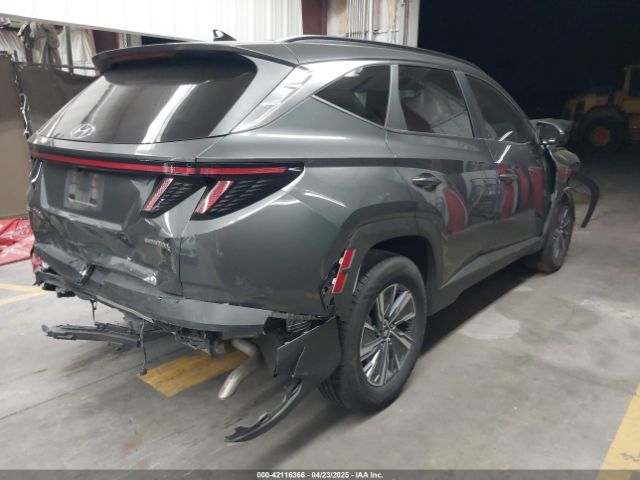 2023 HYUNDAI TUCSON HYBRID KM8JBCA14PU100284 Photo 3