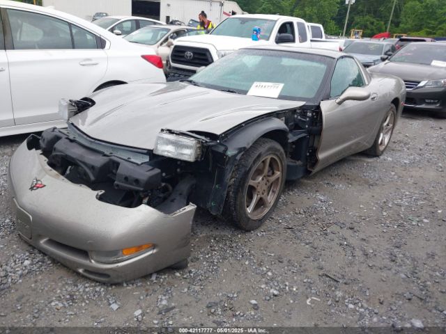 2002 CHEVROLET CORVETTE 1G1YY22G725118711 Photo 1