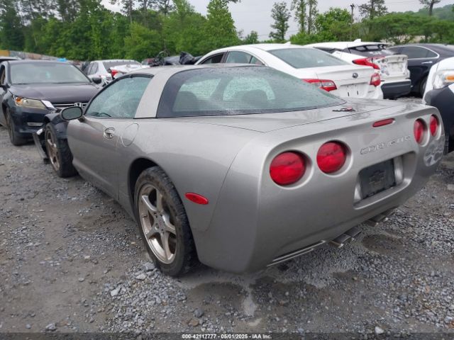 2002 CHEVROLET CORVETTE 1G1YY22G725118711 Photo 2