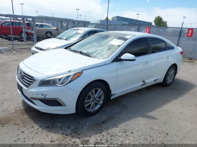 5NPE24AF6GH353754 Hyundai SONATA SE