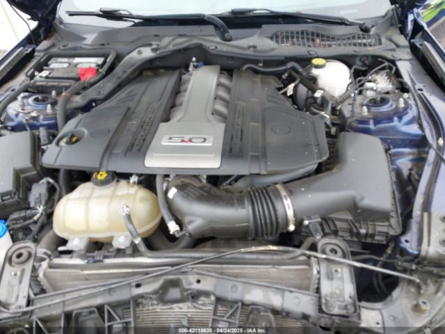 1FA6P8CFXL5169105 Ford Mustang Gt Fastback
