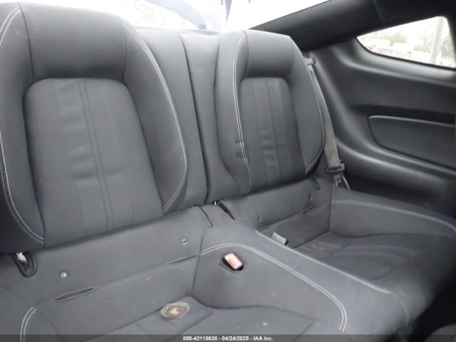 1FA6P8CFXL5169105 Ford Mustang Gt Fastback