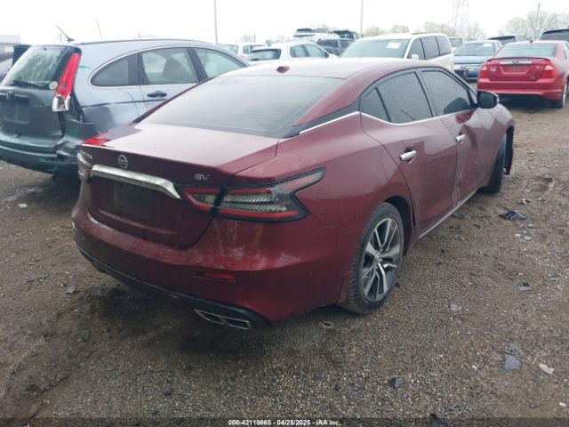 1N4AA6AV4KC361687 Nissan Maxima 3.5 Sv