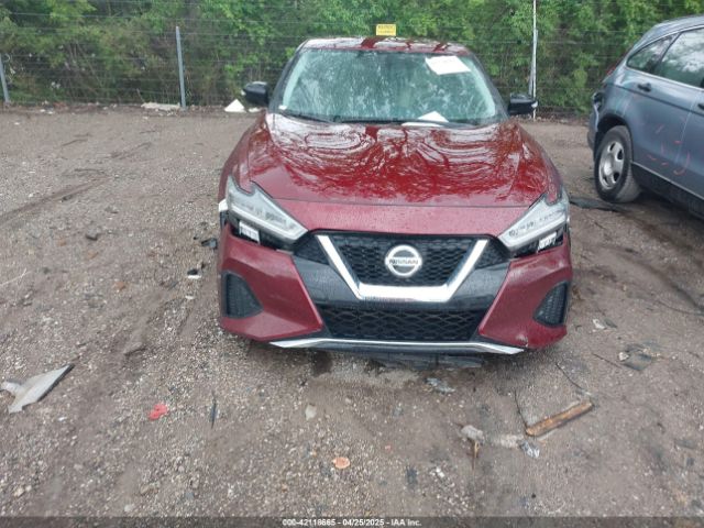 1N4AA6AV4KC361687 Nissan Maxima 3.5 Sv