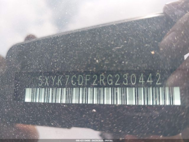 5XYK7CDF2RG230442 KIA Sportage X-pro Prestige