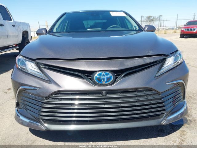 4T1F31AKXMU565647 Toyota Camry Xle Hybrid