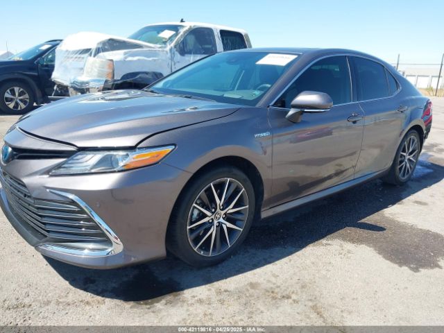 4T1F31AKXMU565647 Toyota Camry Xle Hybrid