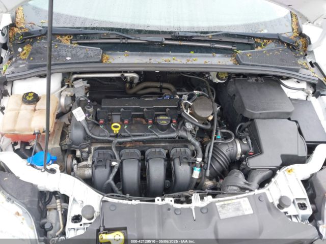 1FADP3F27EL242982 Ford FOCUS SE