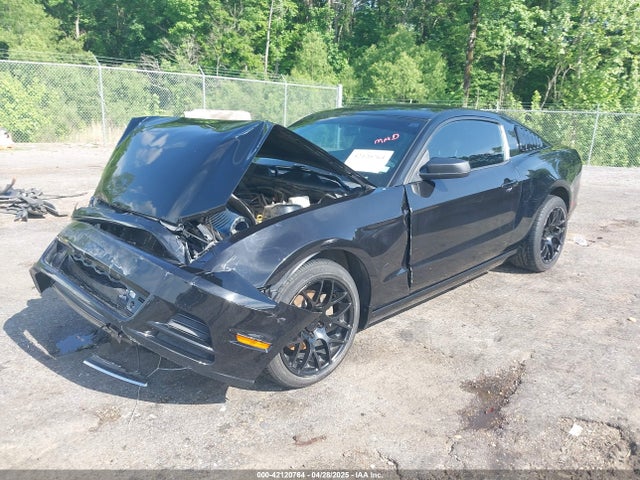 1ZVBP8AM7E5324901 Ford Mustang V6