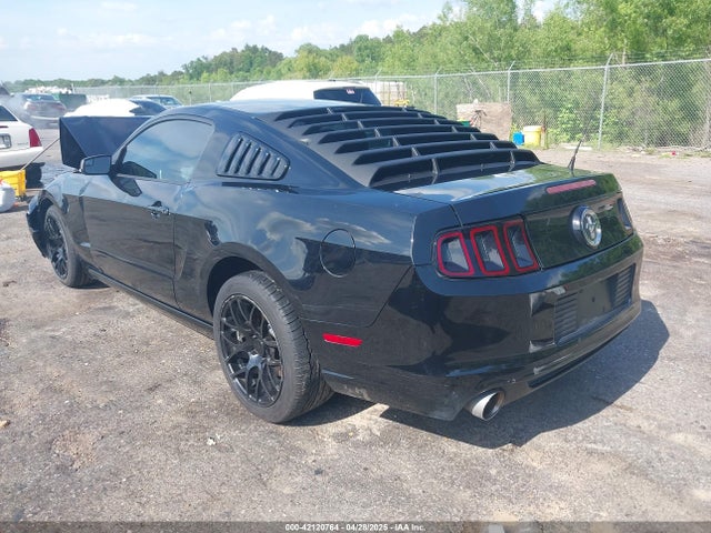 1ZVBP8AM7E5324901 Ford Mustang V6