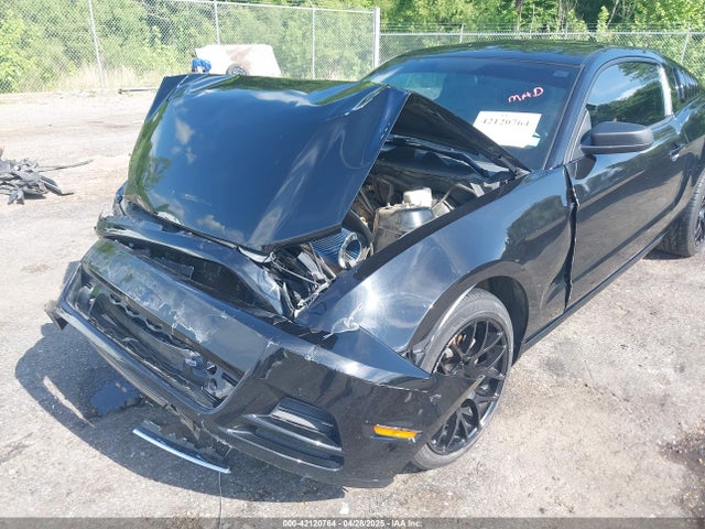 1ZVBP8AM7E5324901 Ford Mustang V6