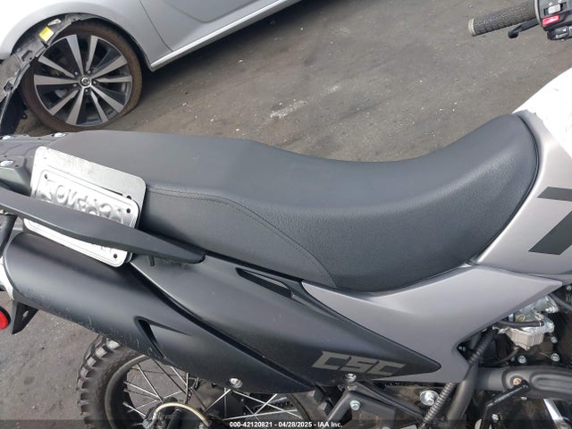 LZSJCNTB4R1160295 Zong Mc