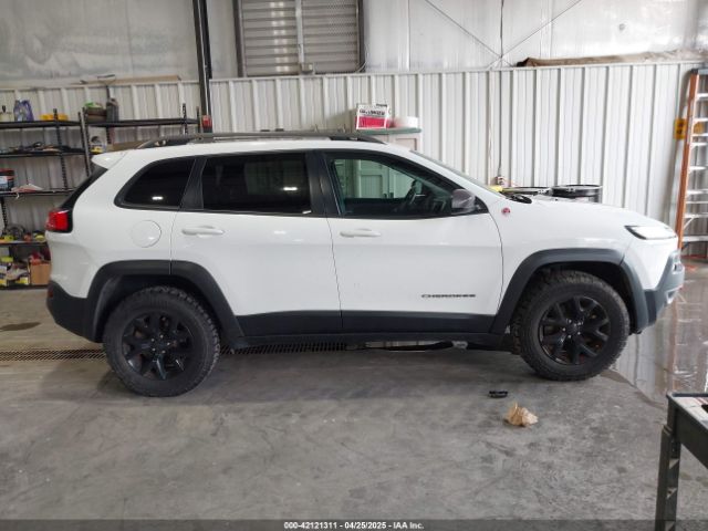 1C4PJMBS0GW316863 Jeep Cherokee Trailhawk