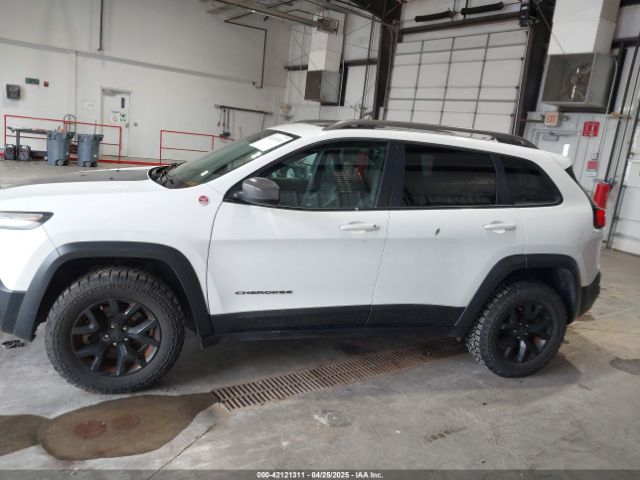 1C4PJMBS0GW316863 Jeep Cherokee Trailhawk