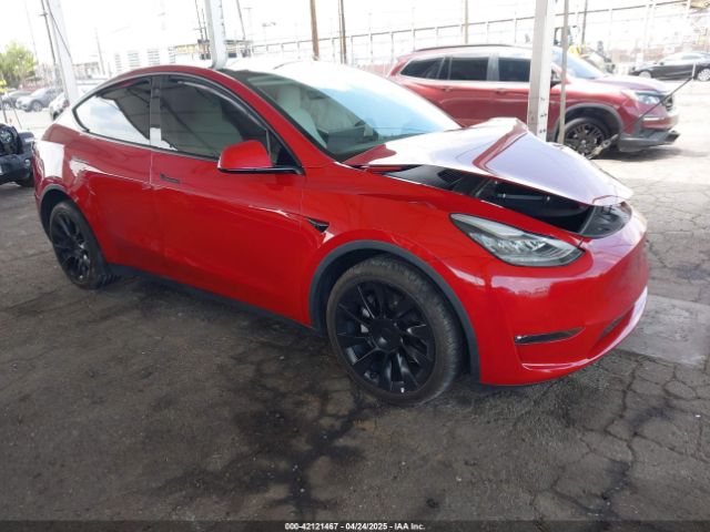2022 TESLA MODEL Y 7SAYGDEE8NF349395