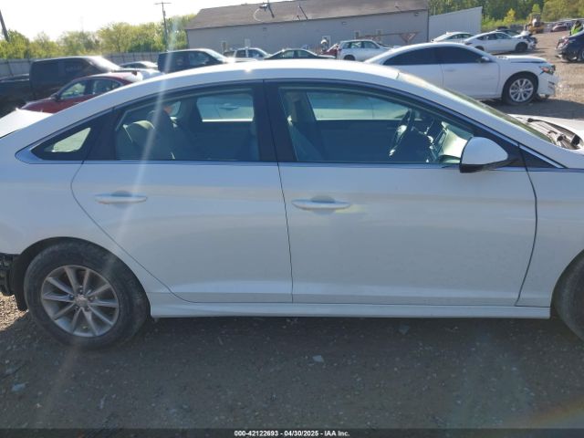 5NPE24AA0JH695874 Hyundai SONATA ECO