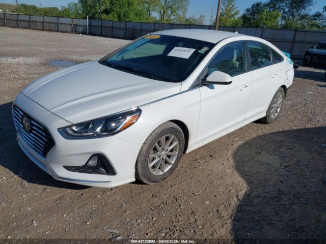 5NPE24AA0JH695874 Hyundai SONATA ECO