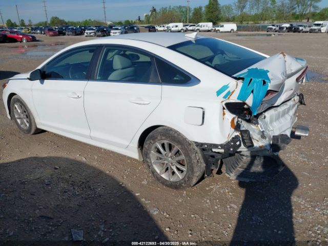 5NPE24AA0JH695874 Hyundai SONATA ECO