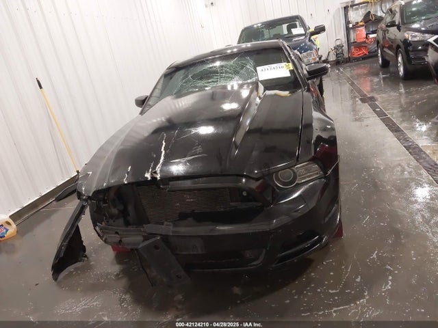 1ZVBP8AM4E5236131 Ford Mustang V6