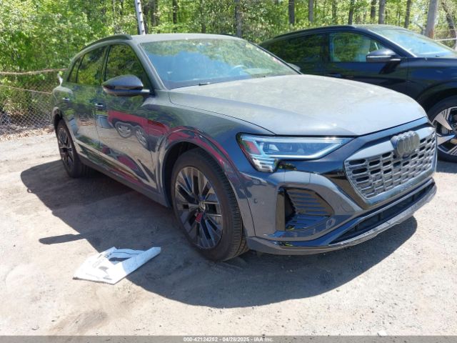 2024 AUDI Q8 E-TRON WA16AAGE8RB053944