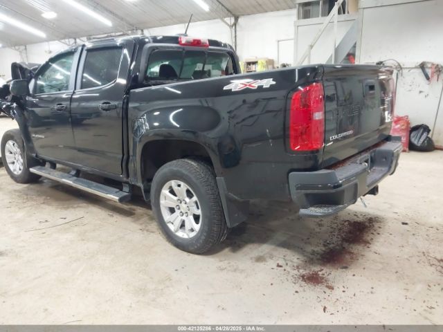 1GCGTCEN9M1234391 Chevrolet Colorado 4wd  Short Box Lt
