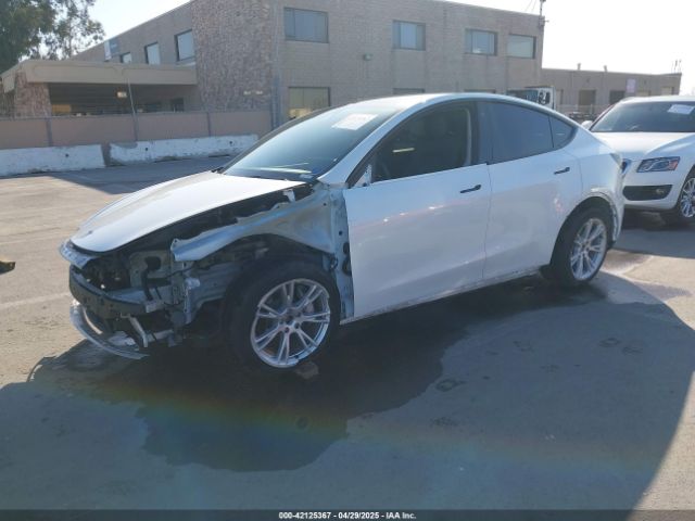 2021 TESLA MODEL Y 5YJYGAEE6MF281799 Photo 1