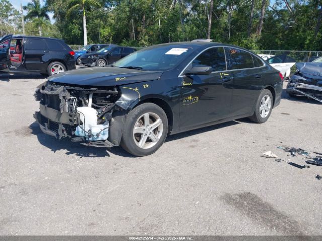 1G1ZB5ST1LF149727 Chevrolet Malibu Fwd Ls