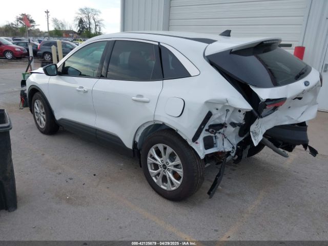 2024 FORD ESCAPE 1FMCU0GN4RUB47586 Photo 2