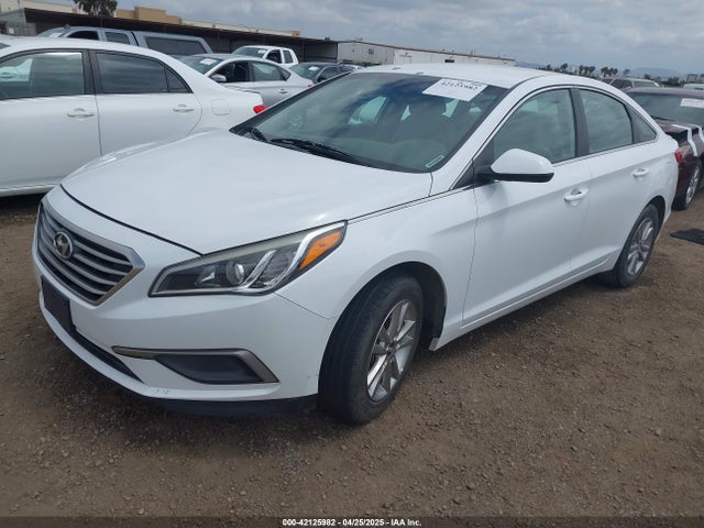 5NPE24AF4GH261493 Hyundai SONATA SE
