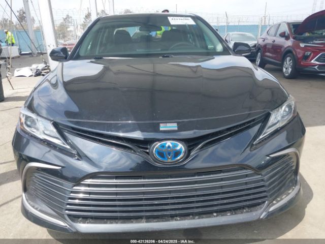 4T1C31AK6MU553823 Toyota Camry Le Hybrid