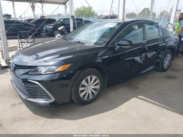 4T1C31AK6MU553823 Toyota Camry Le Hybrid
