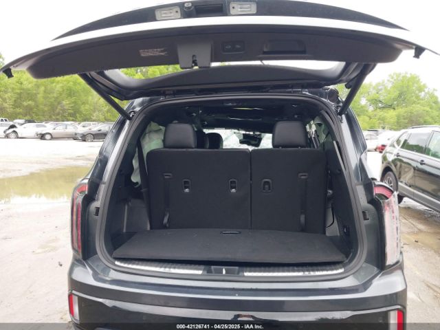 5XYP5DGC9RG530255 KIA Telluride Sx Prestige X-pro