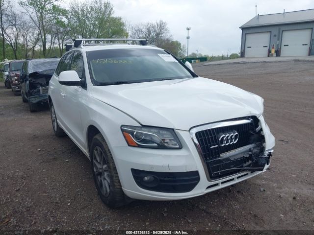 2009 AUDI Q5 WA1KK78R19A021309