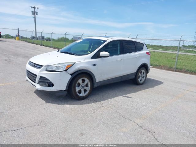 1FMCU0GX6EUA78282 Ford ESCAPE SE