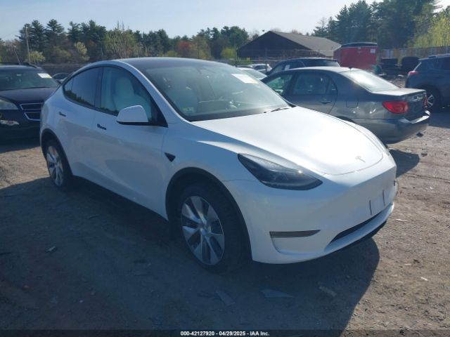 2024 TESLA MODEL Y 7SAYGDEE6RA269435