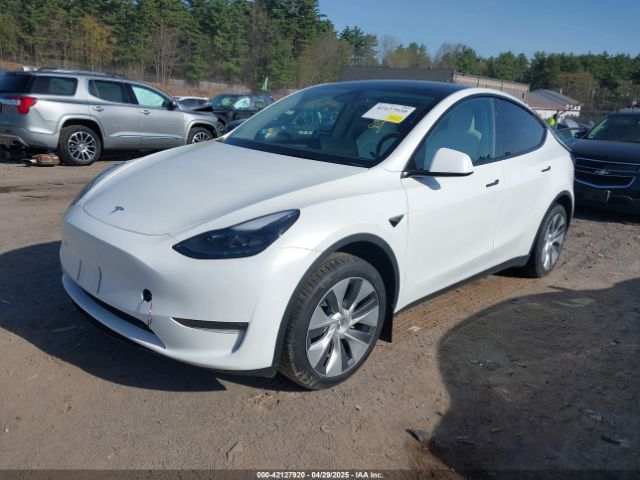 2024 TESLA MODEL Y 7SAYGDEE6RA269435 Photo 1