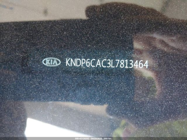 KNDP6CAC3L7813464 KIA SPORTAGE S